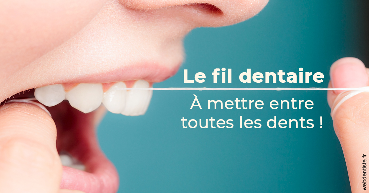 https://dr-decroos-sylvie.chirurgiens-dentistes.fr/Le fil dentaire 2