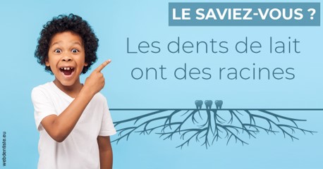 https://dr-decroos-sylvie.chirurgiens-dentistes.fr/Les dents de lait 2