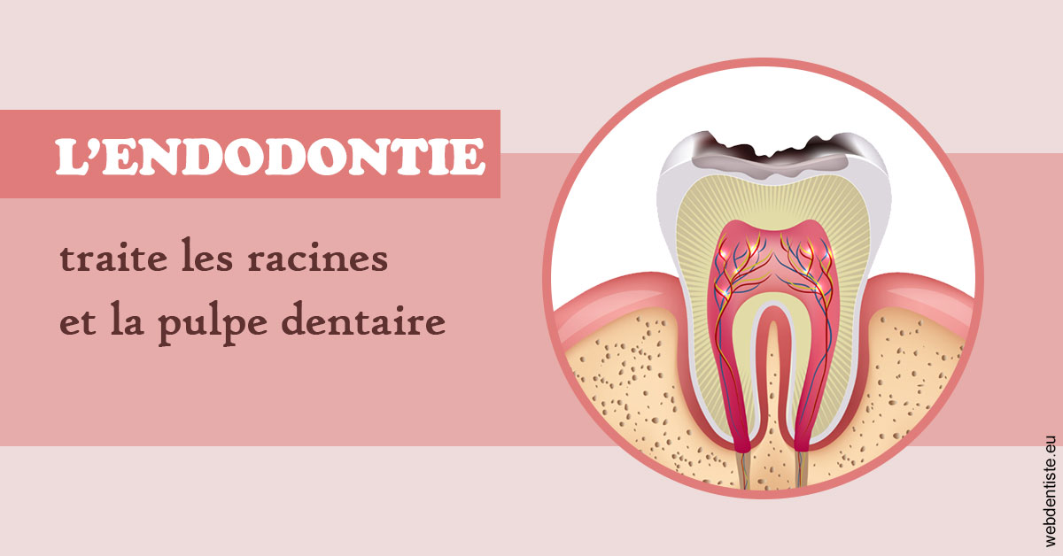 https://dr-decroos-sylvie.chirurgiens-dentistes.fr/L'endodontie 2