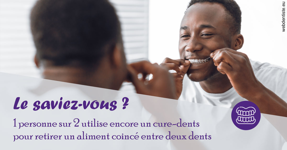 https://dr-decroos-sylvie.chirurgiens-dentistes.fr/Cure-dents 2