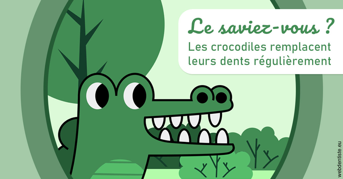 https://dr-decroos-sylvie.chirurgiens-dentistes.fr/Crocodiles 2