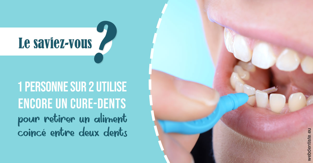 https://dr-decroos-sylvie.chirurgiens-dentistes.fr/Cure-dents 1