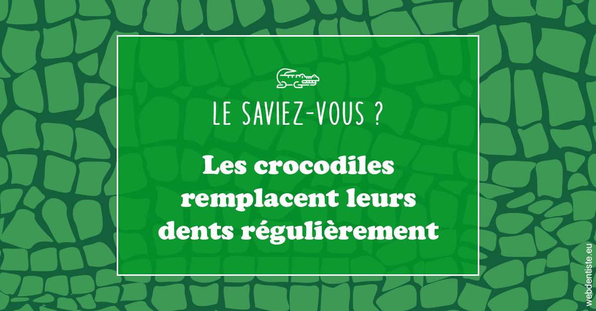 https://dr-decroos-sylvie.chirurgiens-dentistes.fr/Crocodiles 1